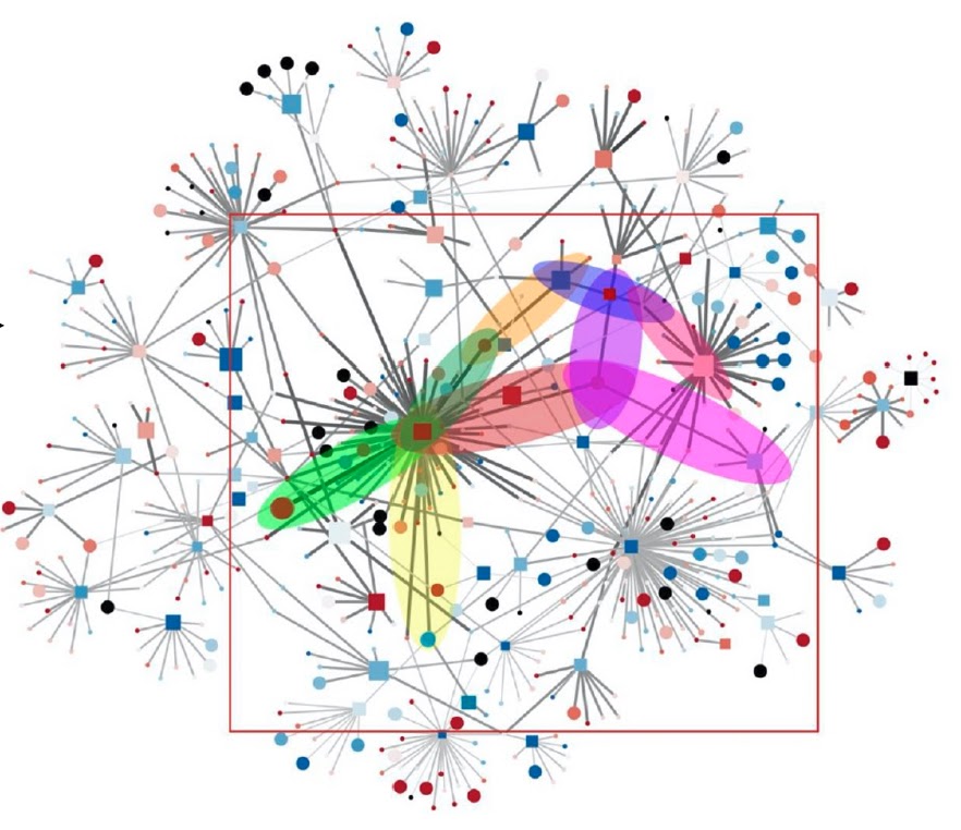 HPIPred — original resource illustration